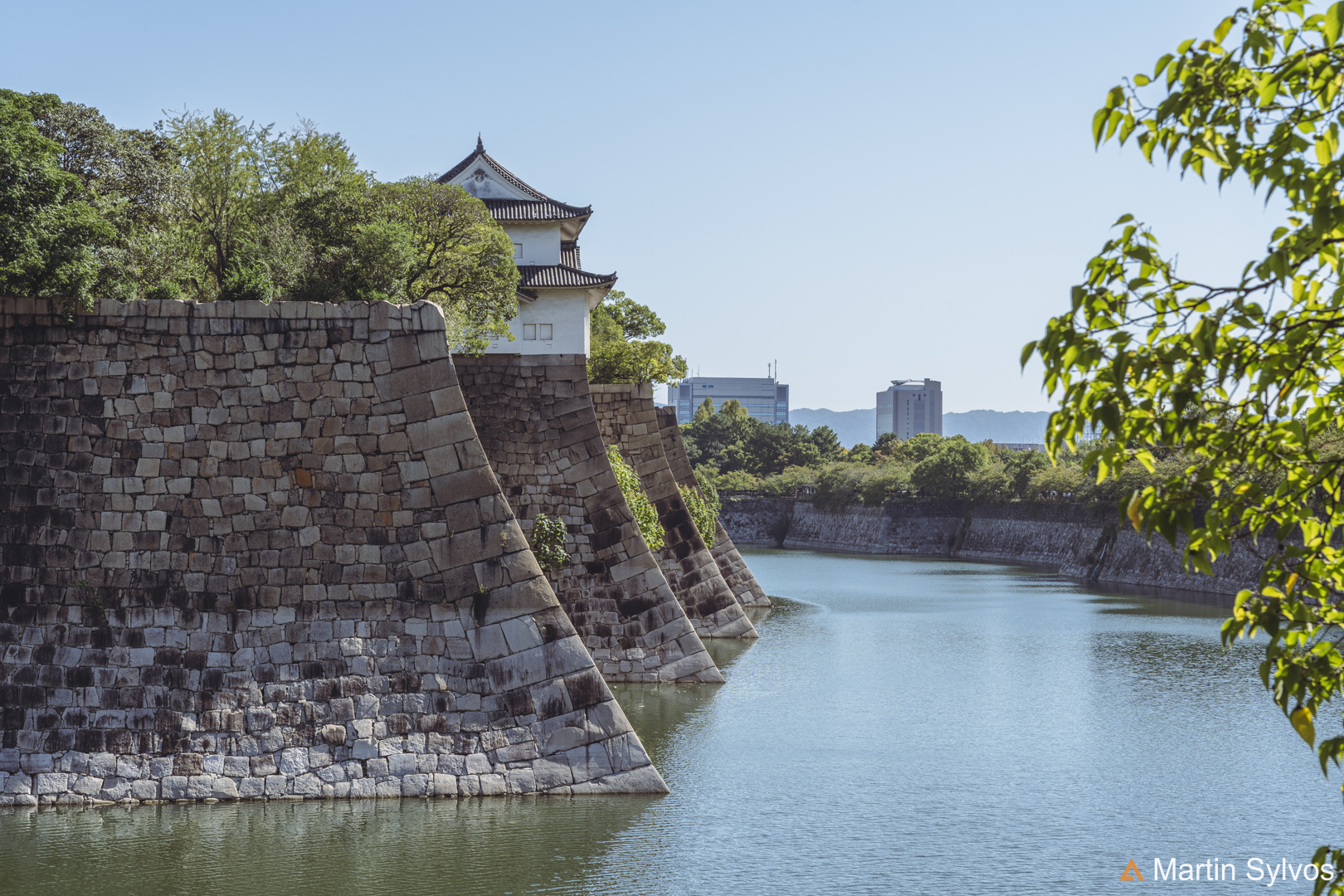 2025 Japon martin sylvos 4